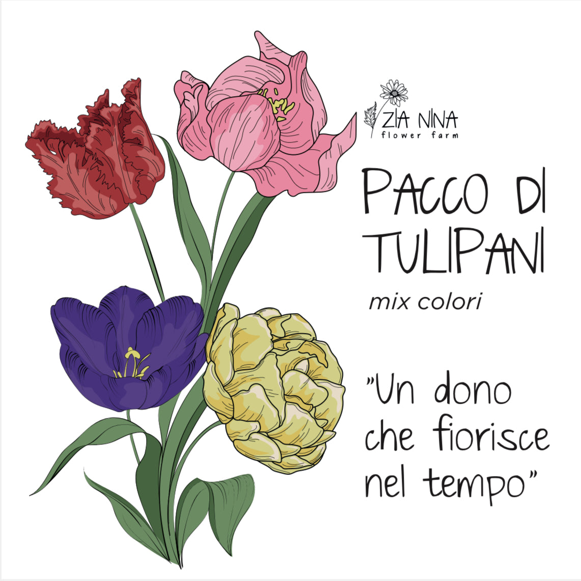 Scatola 10 Tulipani Mix