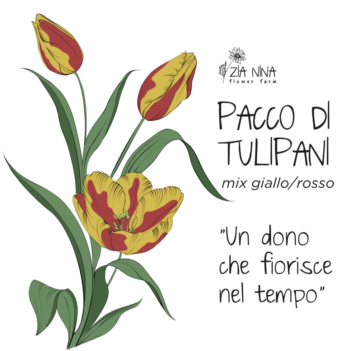 Scatola 10 Tulipani Giallo/Rosso Mix