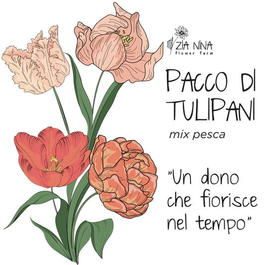 Scatola 10 Tulipani Pesca Mix