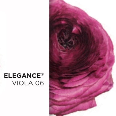 Ranuncolo Elegance Viola mix