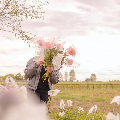 L’Ora delle Peonie