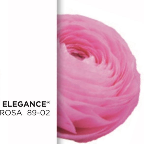 Ranuncolo Elegance Rosa mix