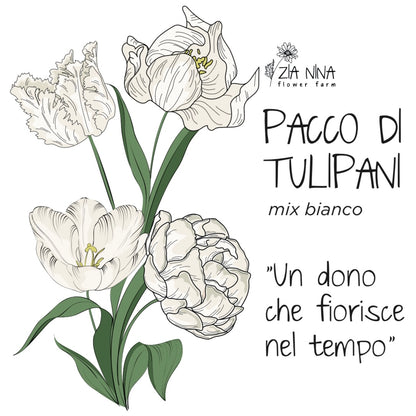 Scatola 10 Tulipani Bianco Mix