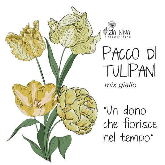 Scatola 10 Tulipani Giallo Mix