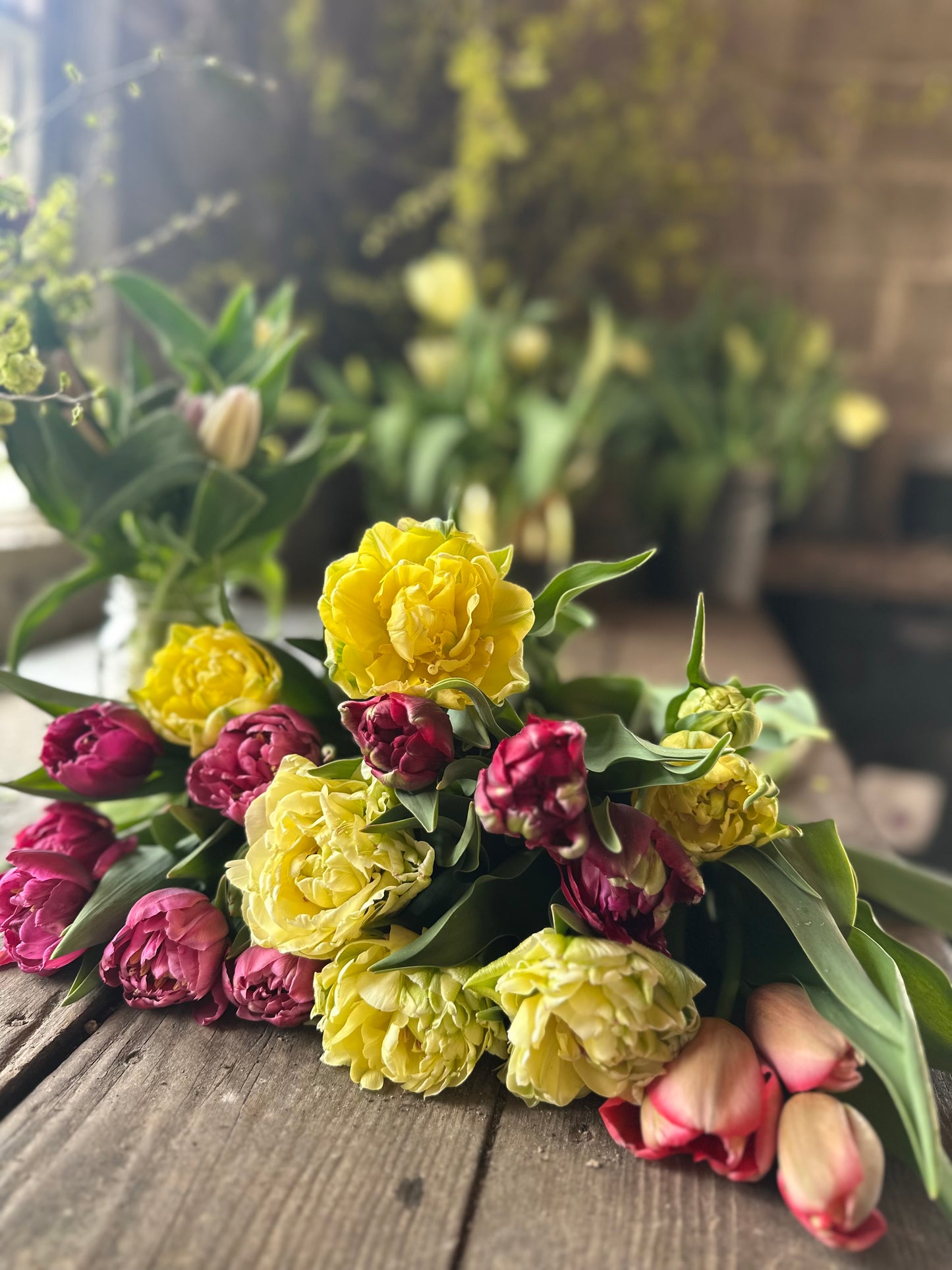 Buono Regalo – L’Ora dei Tulipani