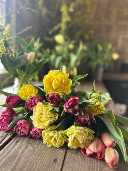 Buono Regalo – L’Ora dei Tulipani