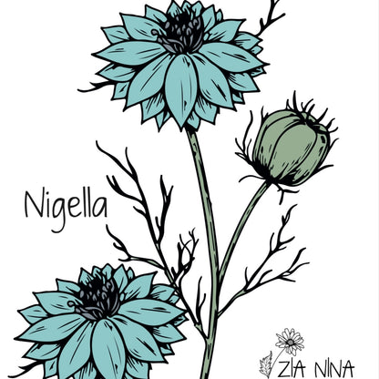 Nigella damascena Moody Blues