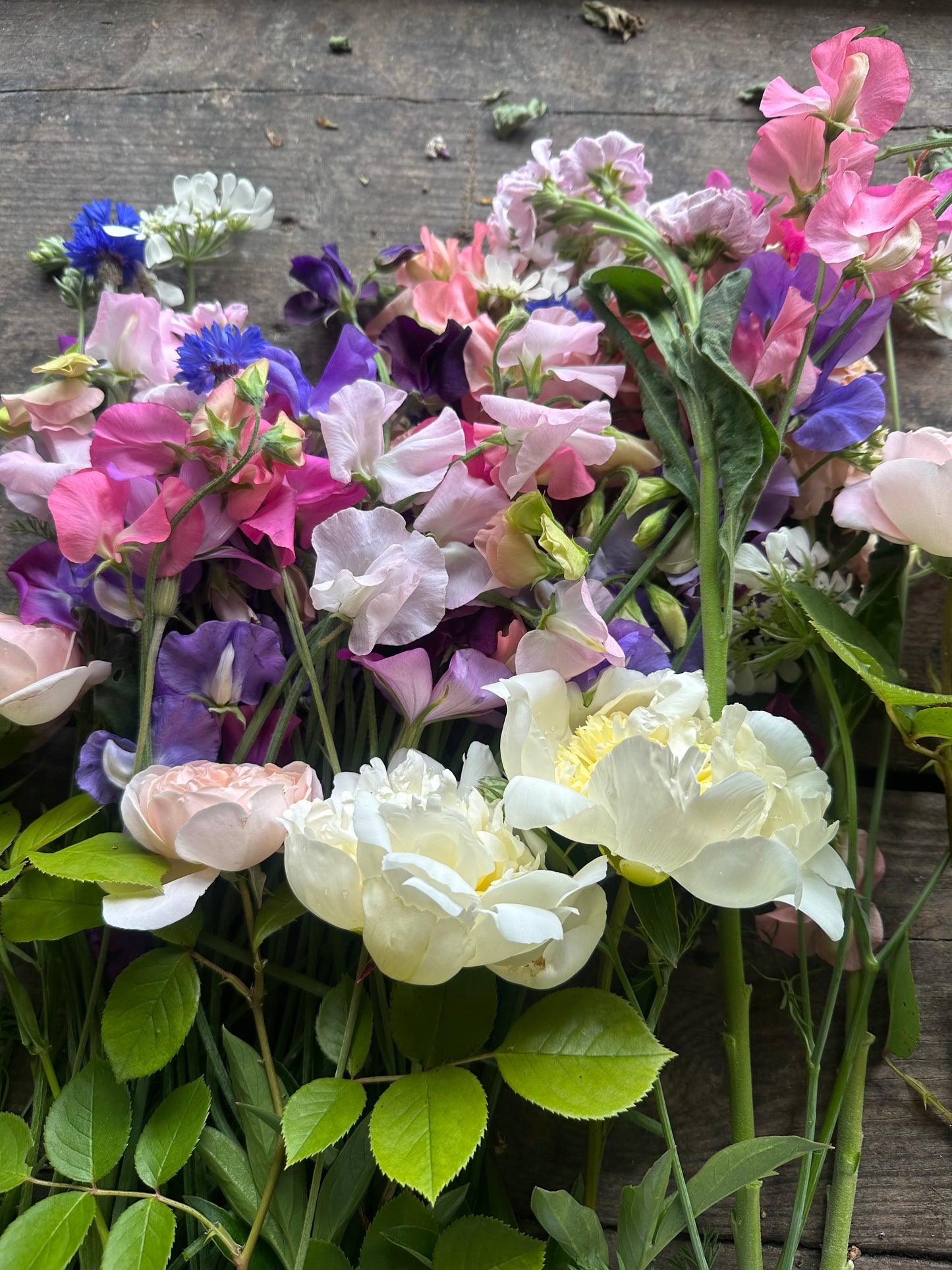 L’Ora delle Peonie