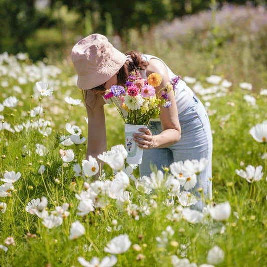 Buongiorno dal Campo