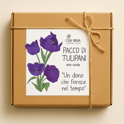 Scatola 10 Tulipani Viola Mix