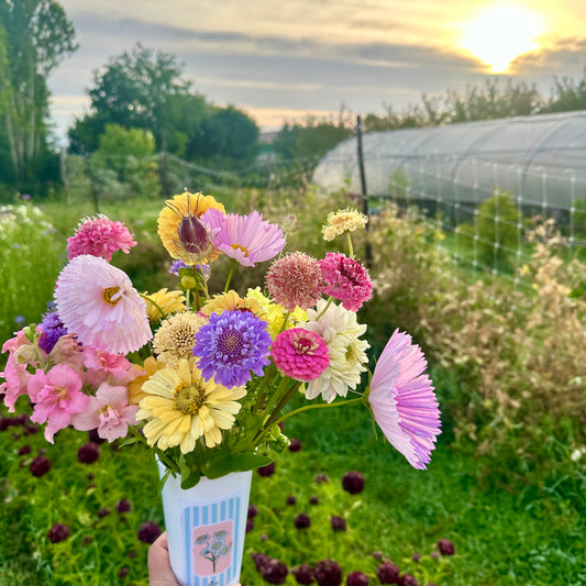 Buongiorno dal Campo