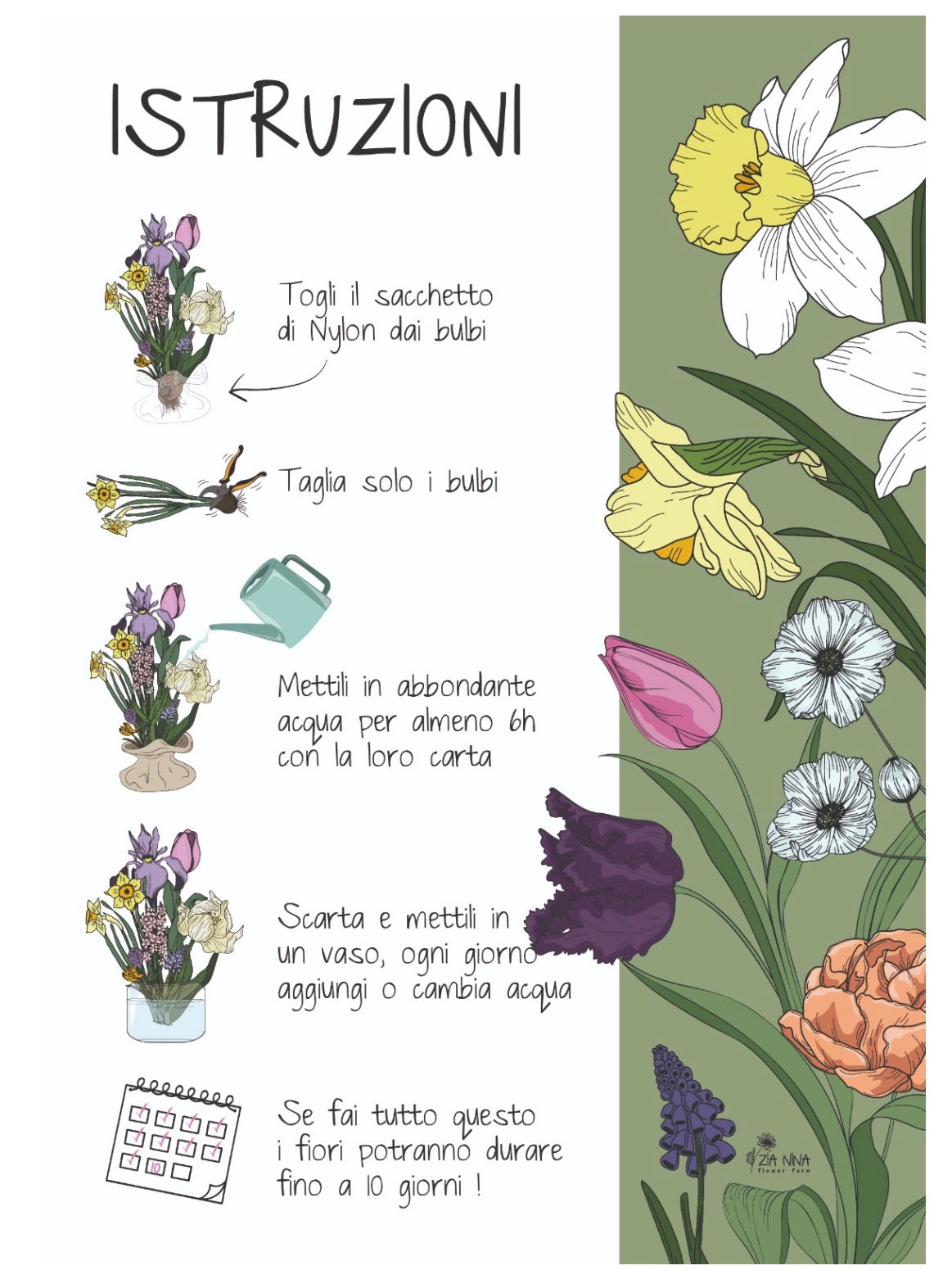 Tulipani con Bulbo dal Campo – Mazzo da 10