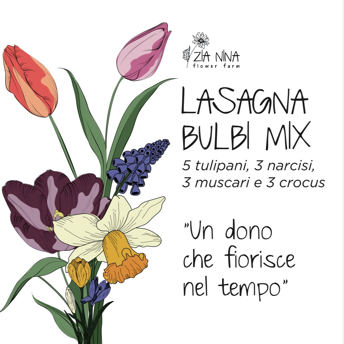 Scatola per Bulbi per la Lasagna in Vaso
