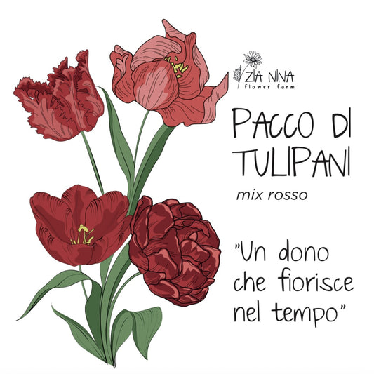 Scatola 10 Tulipani Rossi Mix