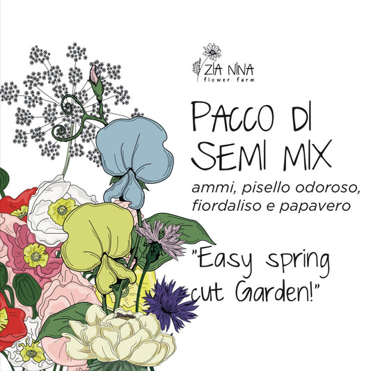 Scatola semi "Easy Spring cut Garden!"