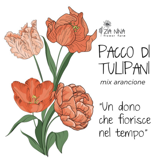 Scatola 10 Tulipani Arancio Mix