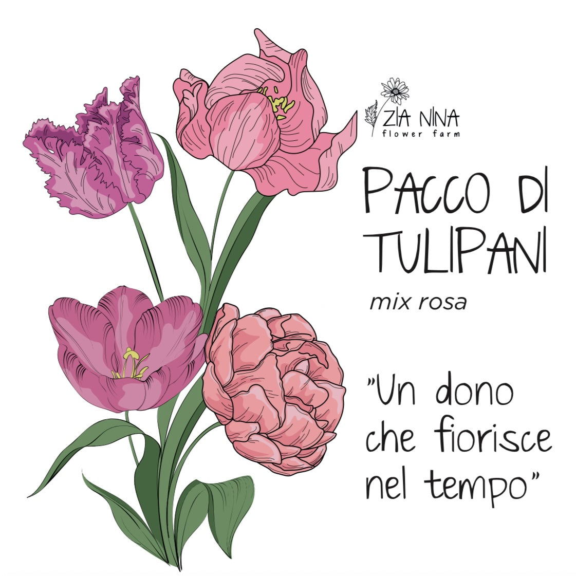 Scatola 10 Tulipani Rosa Mix