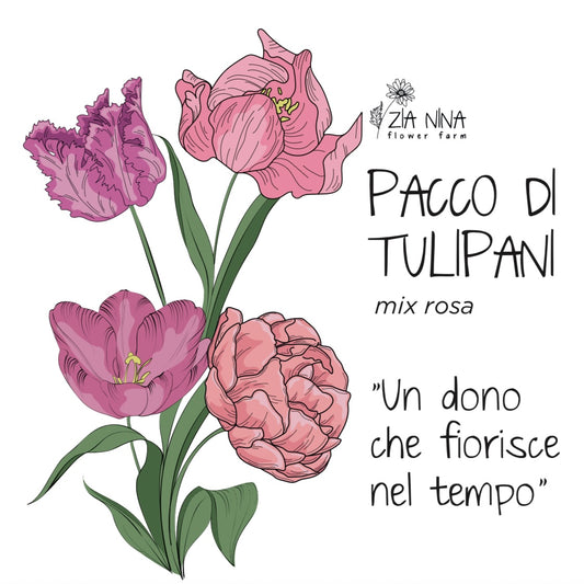 Scatola 10 Tulipani Rosa Mix